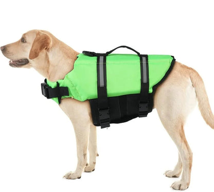 🐾 Gilet de Sauvetage – Sécurité et Confort sur l’Eau
