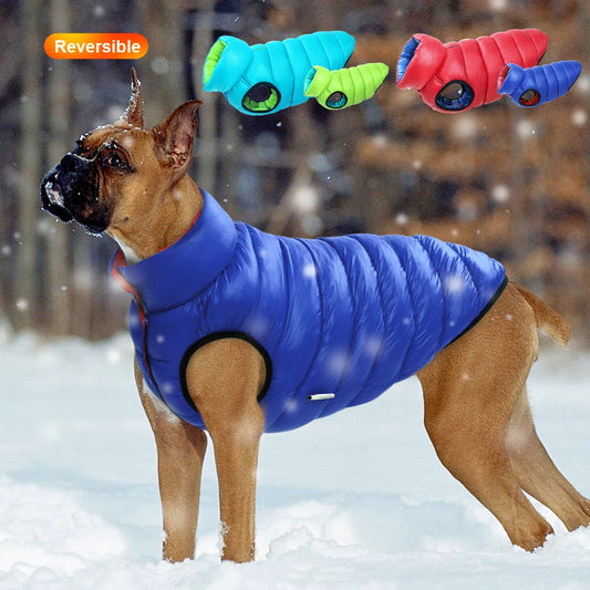 🧥🐶 Veste chien hiver réversible – Protection en toutes saisons ! ❄️☔