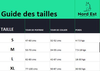 🐾 Harnais Réglable pour Chien – Confort, Sécurité et Style !