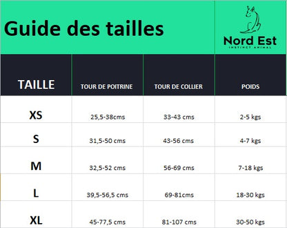 Harnais pour Chien Bi-Couleur – Confort, Contrôle et Visibilité
