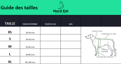 Harnais Chien Basic – Confort, Durabilité et Sécurité 🐾