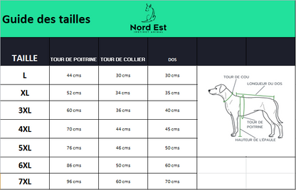🧥🐶 Veste chien hiver réversible – Protection en toutes saisons ! ❄️☔