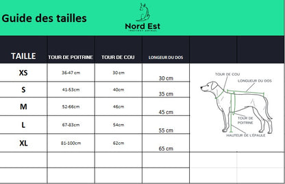 Veste de pluie ajustable pour chien 🌧️