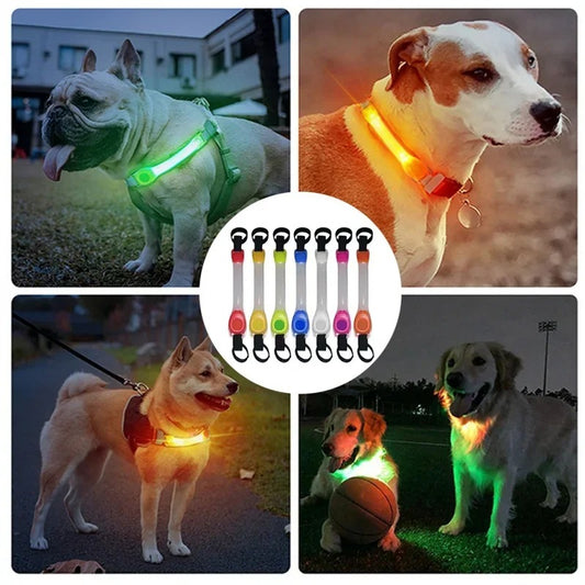 Bande lumineuse de Sécurité pour Collier – Promenades Nocturnes en Toute Sérénité
