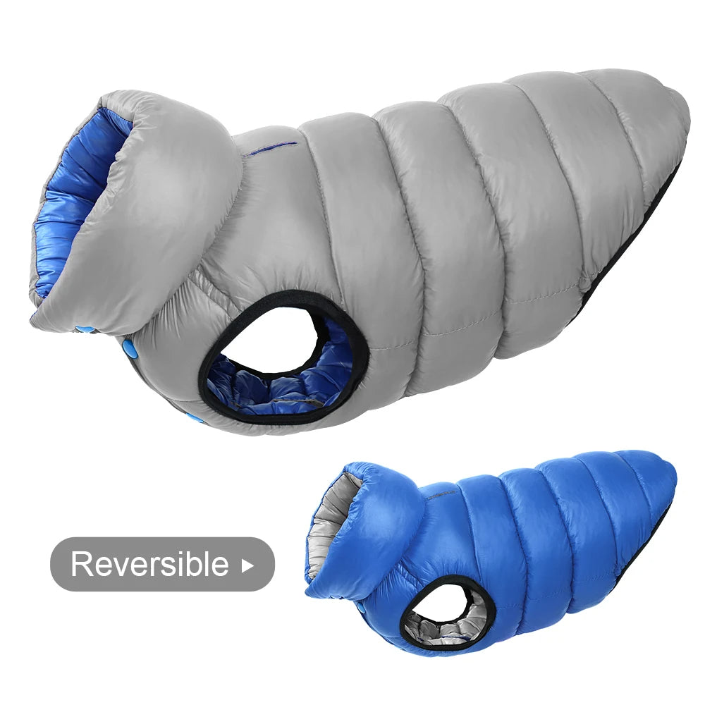 🧥🐶 Veste chien hiver réversible – Protection en toutes saisons ! ❄️☔