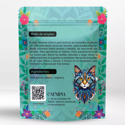 🌿 Herbe à Chat Naturelle – Nepeta Cataria