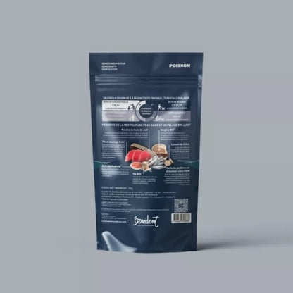 🐟 Friandise feuilletées de poisson pour chien & chat 🐶🐱 Evident
