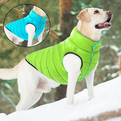 🧥🐶 Veste chien hiver réversible – Protection en toutes saisons ! ❄️☔