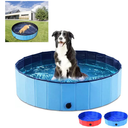 🐾💦 Piscine pliable pour animaux – Le bain devient un plaisir ! 🐶🐱