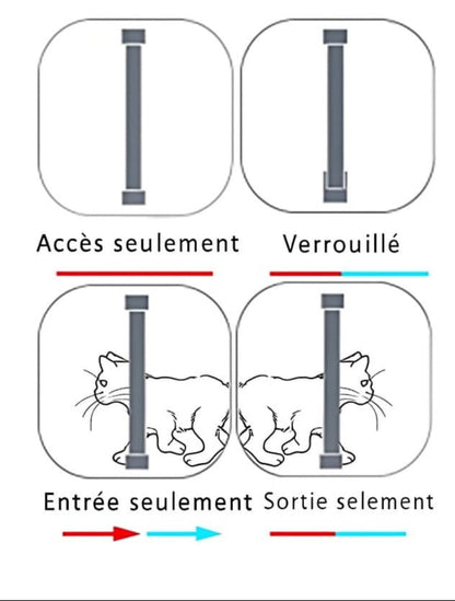 🚪🐱 Chatière 4 positions : liberté & contrôle 🐾