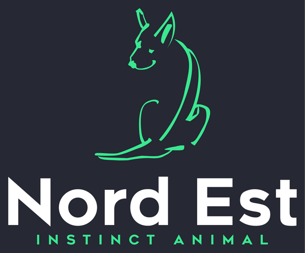 Nord Est Boutique