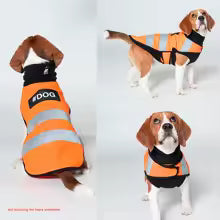 🐕 Gilet de Sécurité Réfléchissant pour Chien 🌟