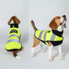 🐕 Gilet de Sécurité Réfléchissant pour Chien 🌟
