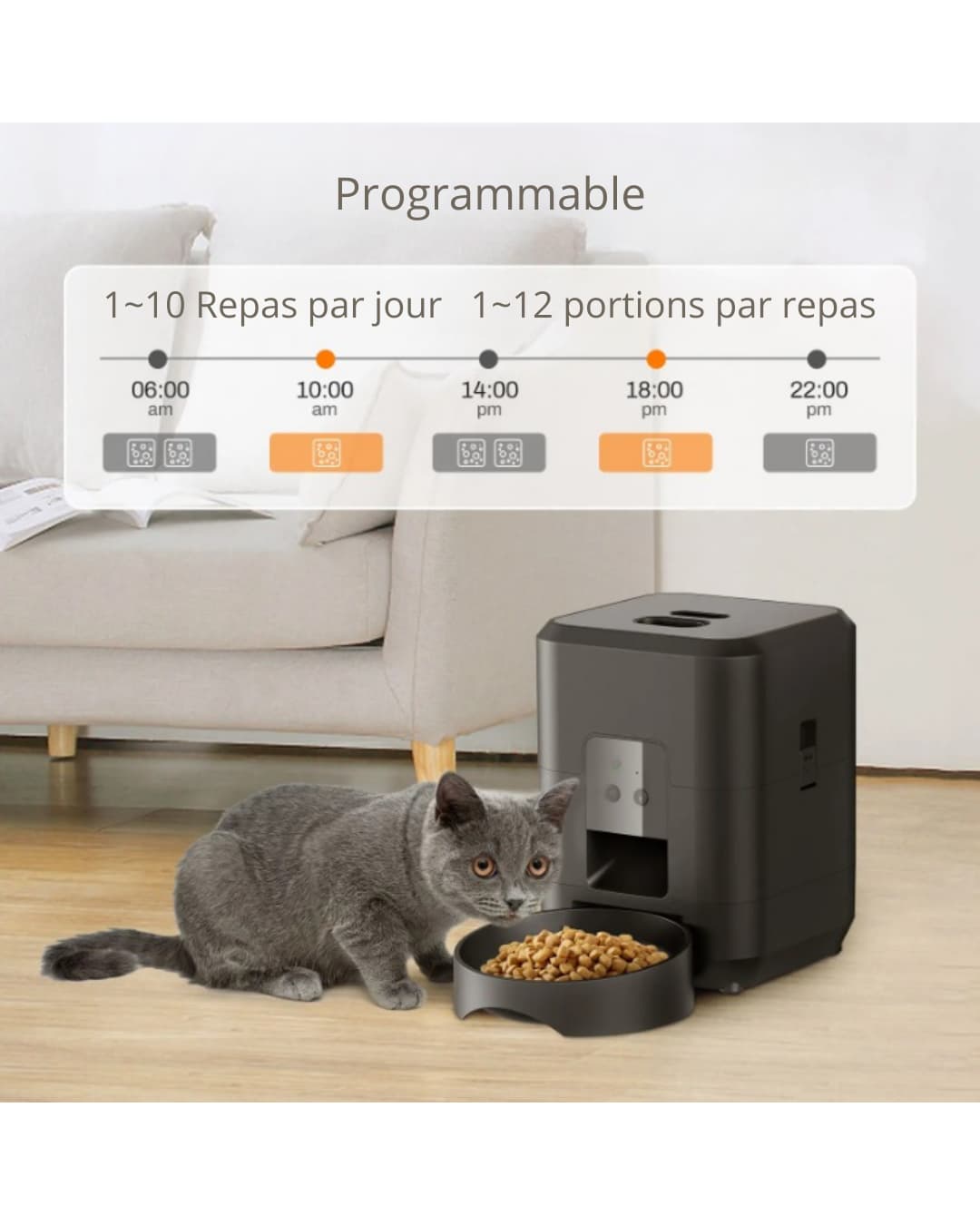 🐾 Distributeur Automatique de Croquettes Intelligent 🐾