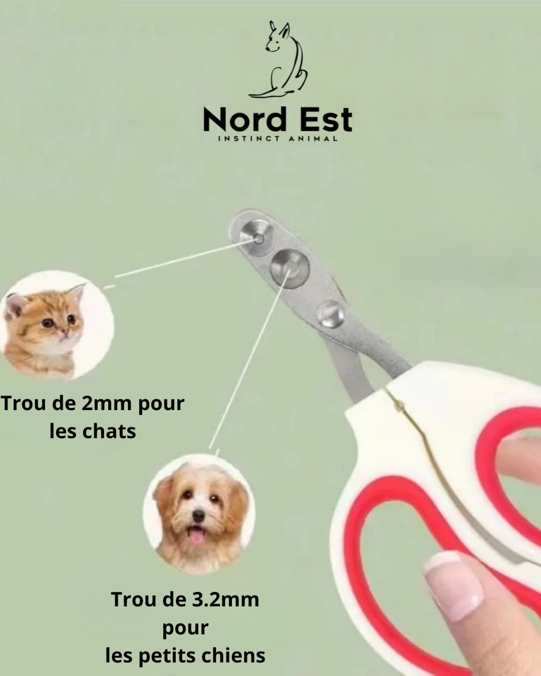 ✂️ Coupe-ongles pratique pour chats ou petits chiens