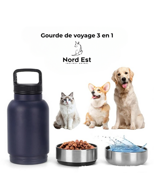 🐾 Gourde thermos de voyage en métal 3 en 1 pour chien ou chat