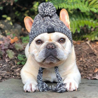 🐶 Bonnet chaud pour chien  ❄️