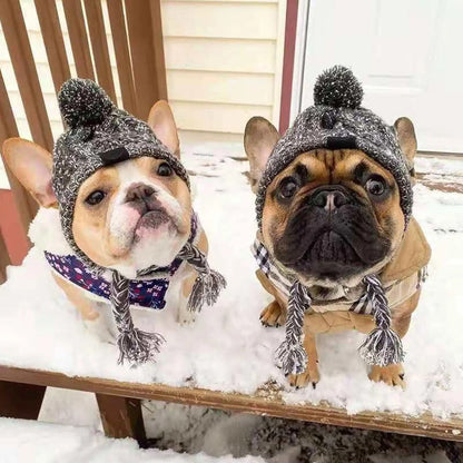 🐶 Bonnet chaud pour chien  ❄️