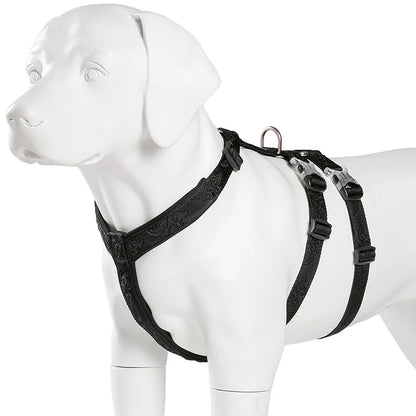 Harnais Chien Basic – Confort, Durabilité et Sécurité 🐾