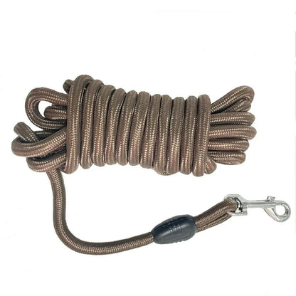 Longe – Idéale pour l'Entraînement et l'Agility 🐕💨