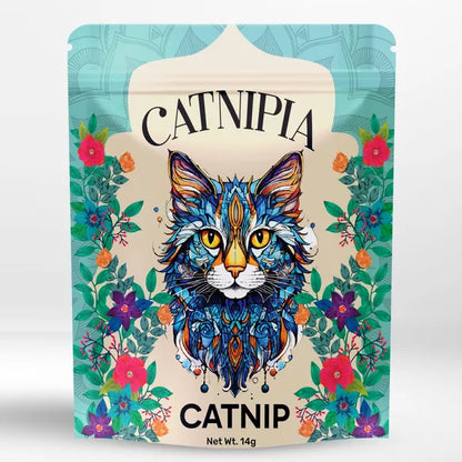 🌿 Herbe à Chat Naturelle – Nepeta Cataria