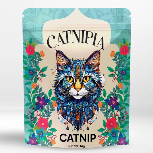 🌿 Herbe à Chat Naturelle – Nepeta Cataria