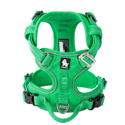 Harnais Haut de Gamme pour Chien – Sécurité, Confort et Élégance