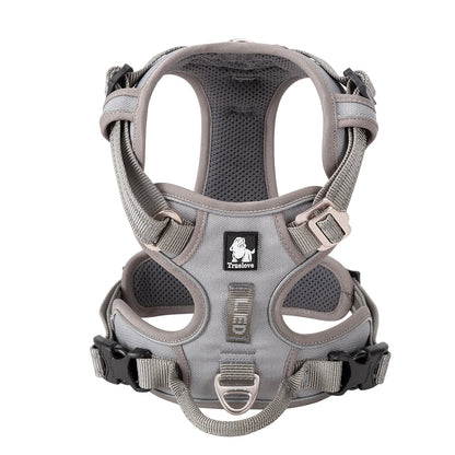 Harnais Haut de Gamme pour Chien – Sécurité, Confort et Élégance