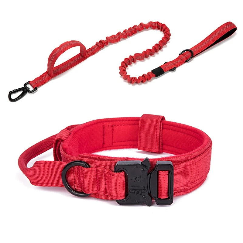 Ensemble laisse et collier "tactique et formation"