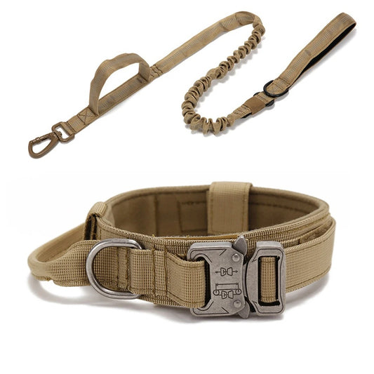 Ensemble laisse et collier "tactique et formation"