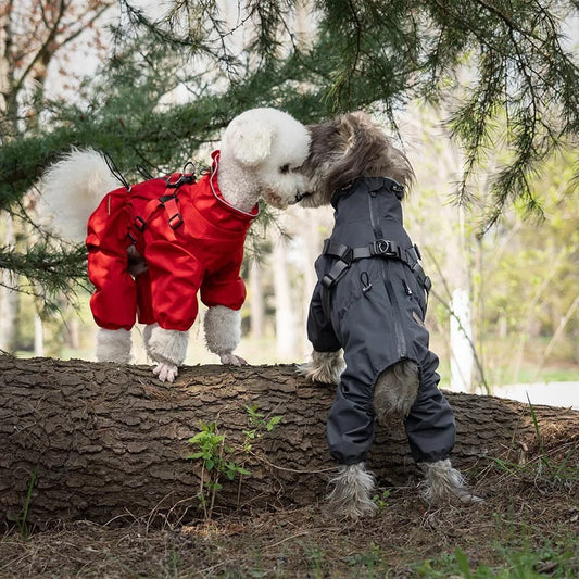 Combinaison imperméable pour chien