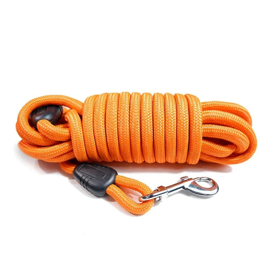 Longe – Idéale pour l'Entraînement et l'Agility 🐕💨