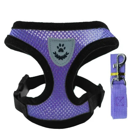 🐾Harnais spécial chat ou petit chien